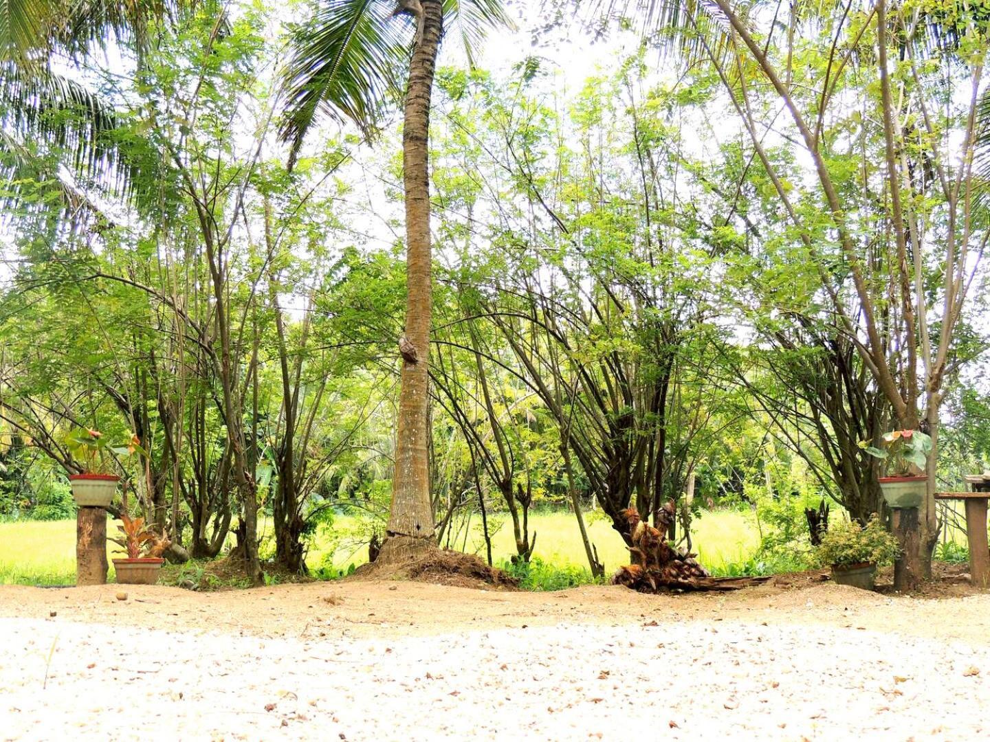 Milk House 2* Udawalawe